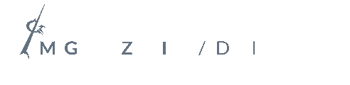 zmigue logo